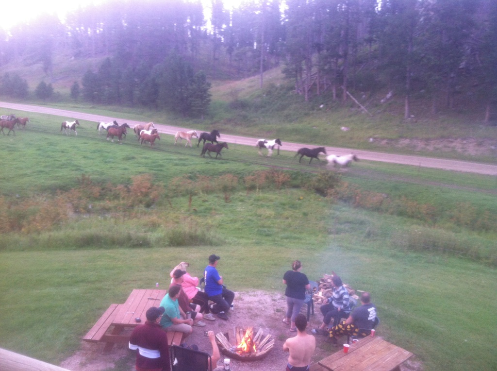 35   daily horse drive back to the grazing area