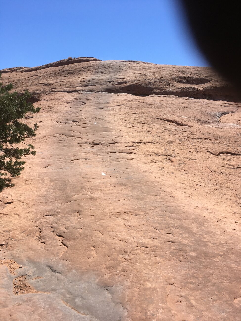 94  first big rock face climb to get up to Skyline Drive trail