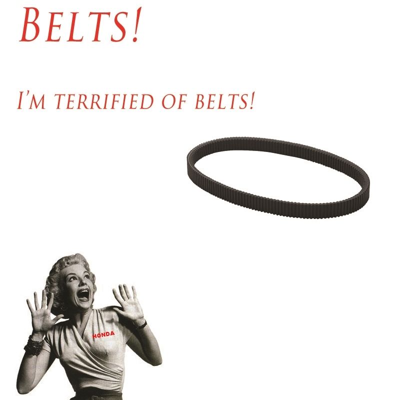 Beltfear