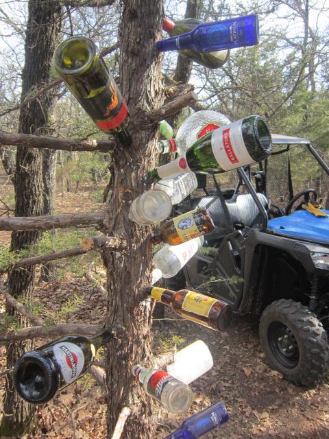 Bottle tree 1