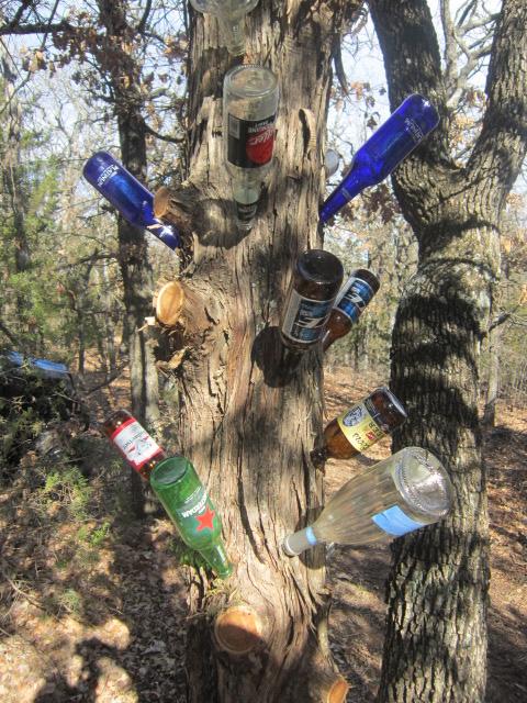 Bottle tree 6