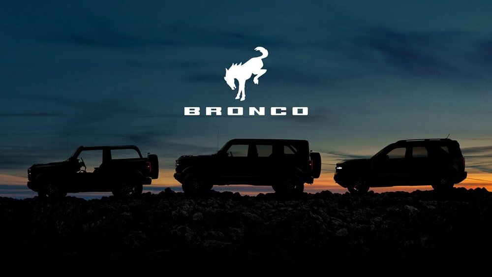 Bronco family