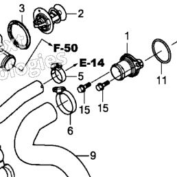 Coolant hose