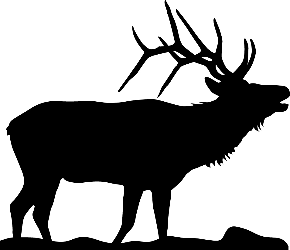 ELK