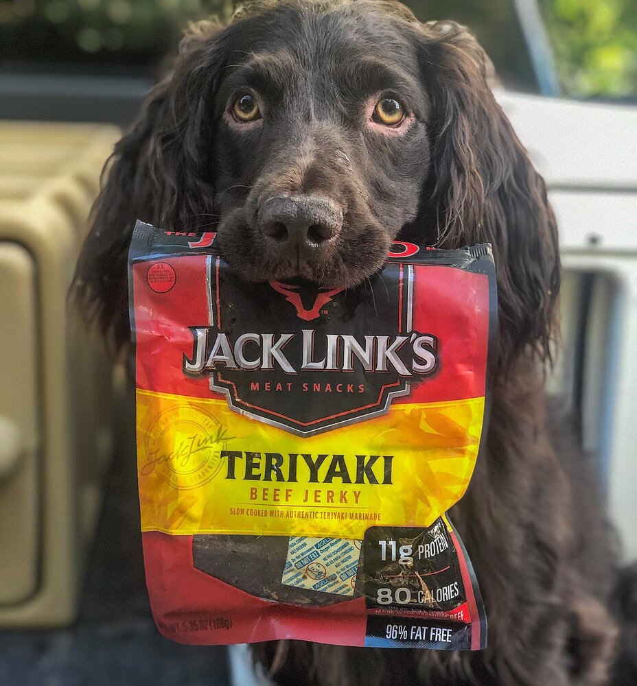 Jack links