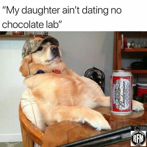 Lab