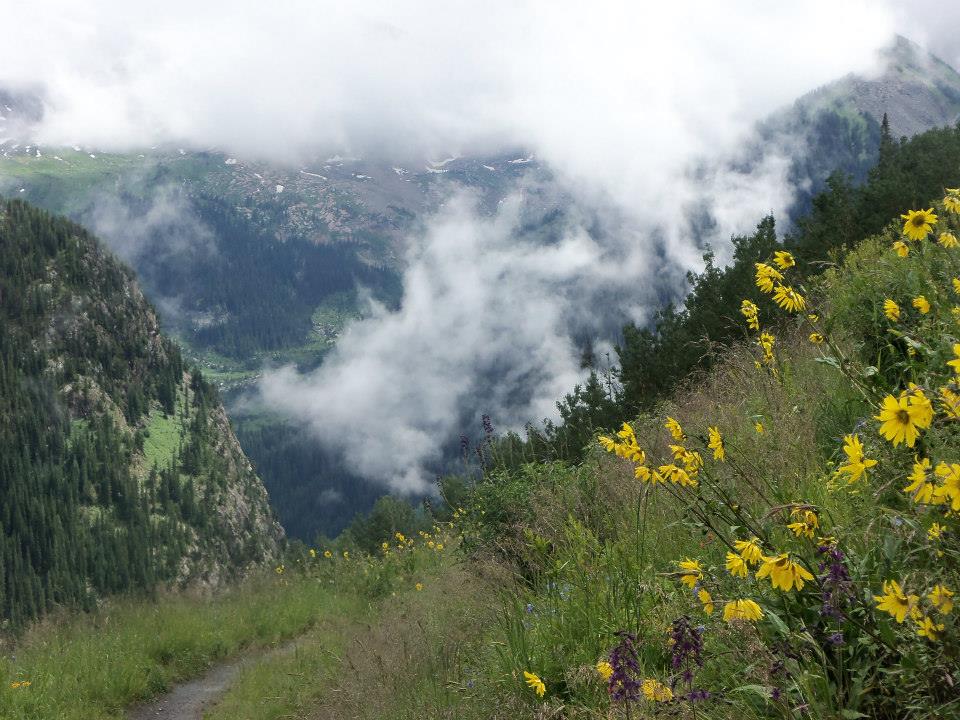 Lead King Basin Cloud