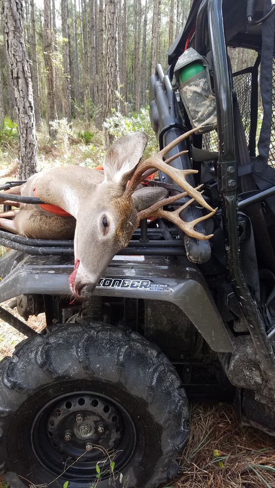 Muzzleloader 8pt 2020