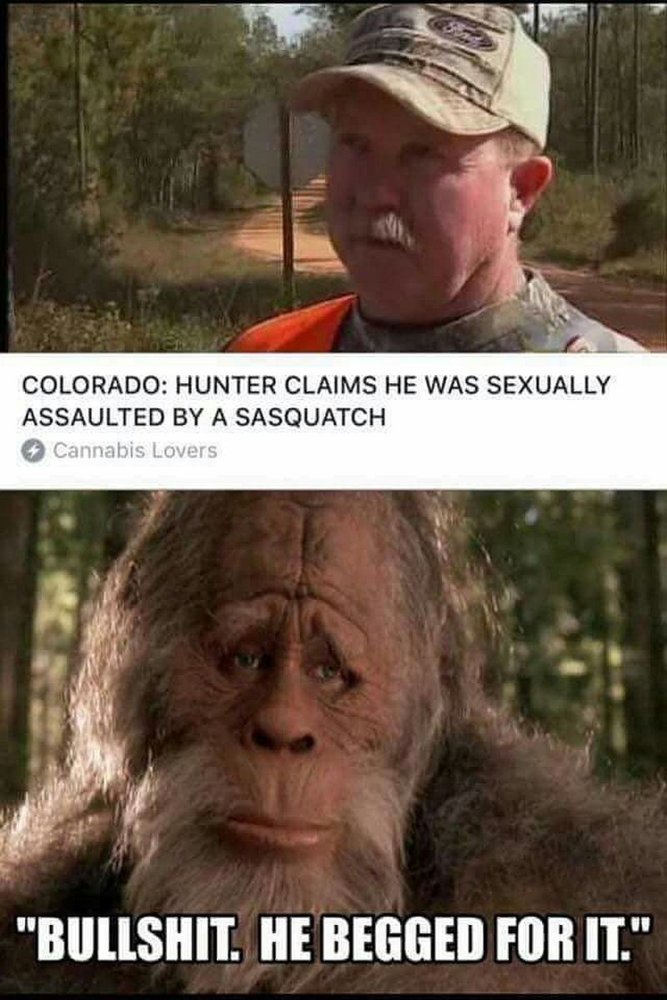 Sasquatch