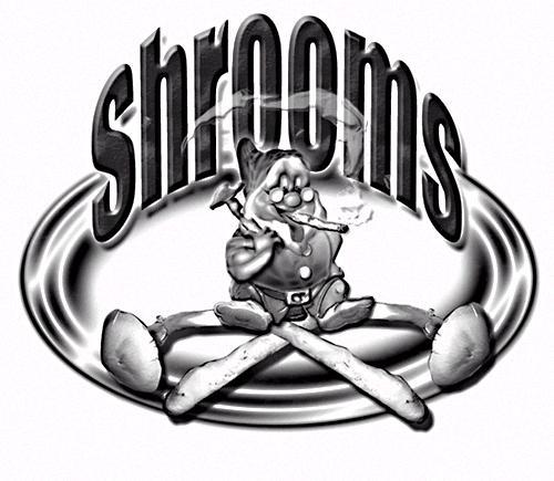 Shrooms gnome