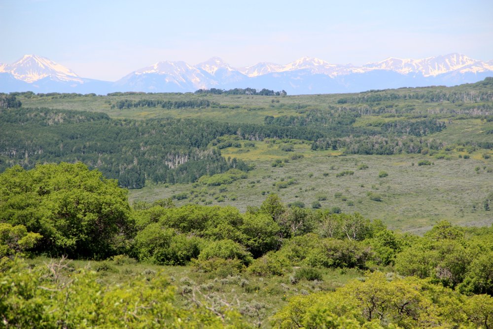 Uncompahgre 043