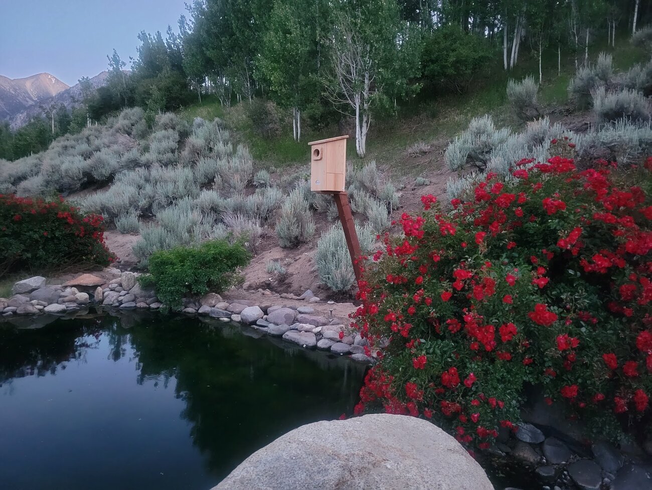 Wood Duck Nest Box   Copy