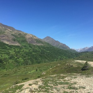 Kings River, AK 6/17/16