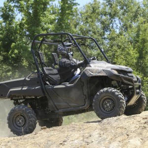 2014-Honda-Pioneer-Action-06