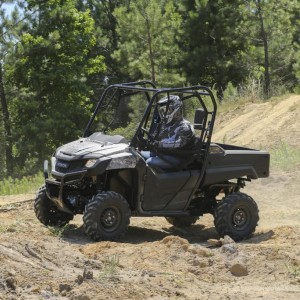 2014-Honda-Pioneer-Action-09