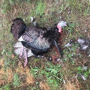 2018turkey